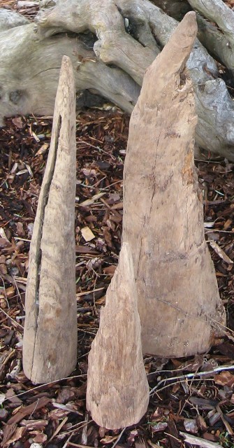 3 Medium Sized Driftwood Spikes